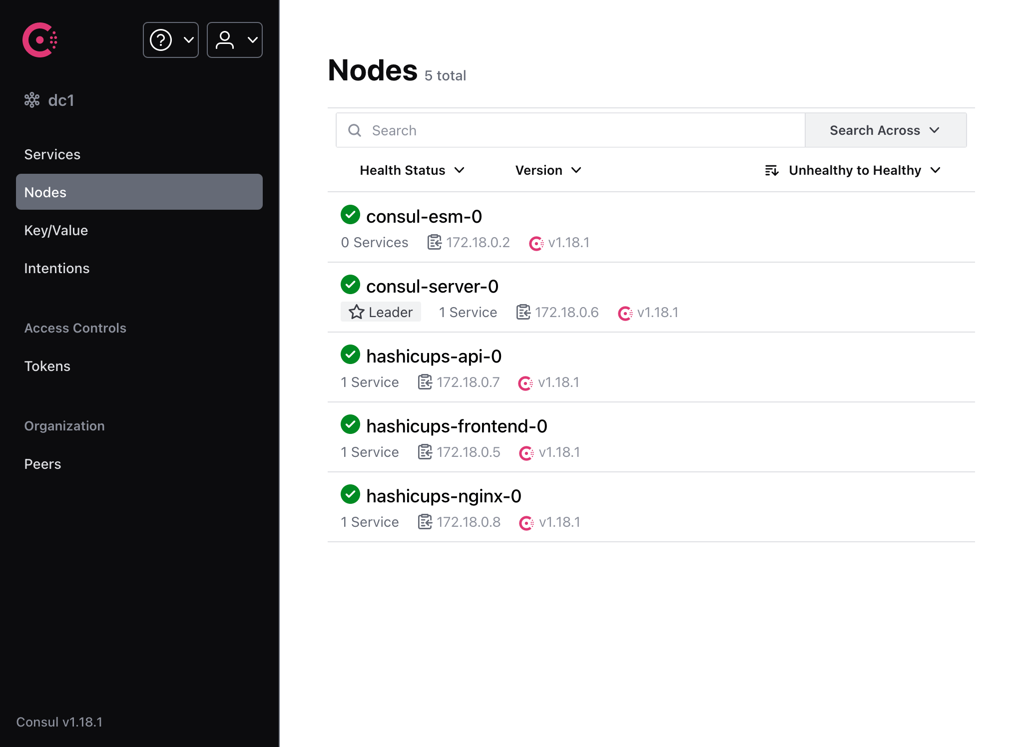 Nodes page - HashiCups with no DB instances and a node for Consul ESM